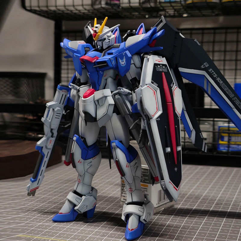 1/144 HG 스케일 메카 플라스틱 모델 키트 xfs - Bandai Gundam Rg 리뷰 및 가격
