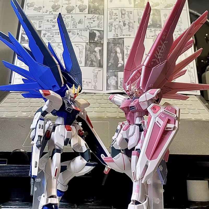 JMS HG 1/144 ZY-06 프리덤 어썰트 벚꽃  - Bandai Gundam Rg 리뷰 및 가격